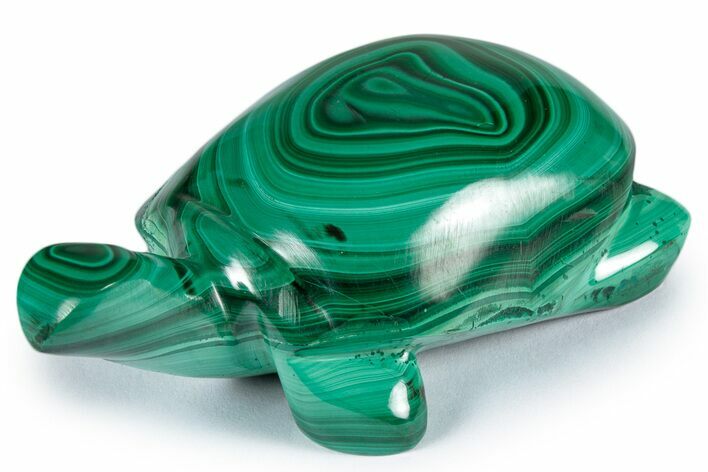Flowery, Malachite Turtle Carving - DR Congo #337812